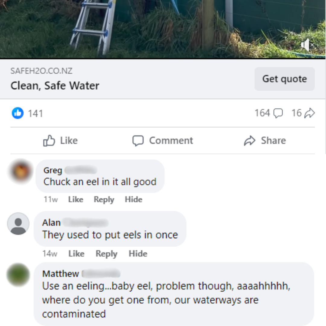 Eel Comments on Facebook