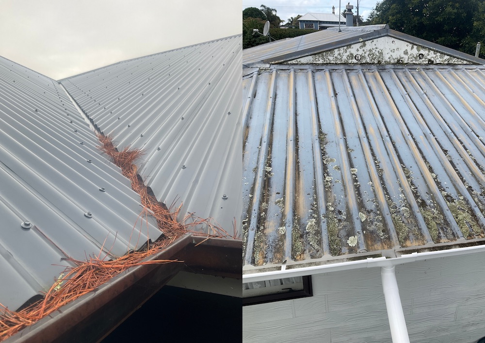 Roof cleaning and water tank safety